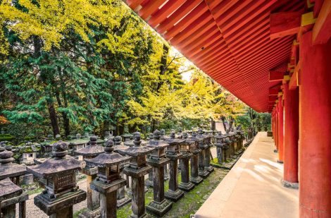japanese-stone-lanterns-PY25KMW.jpg